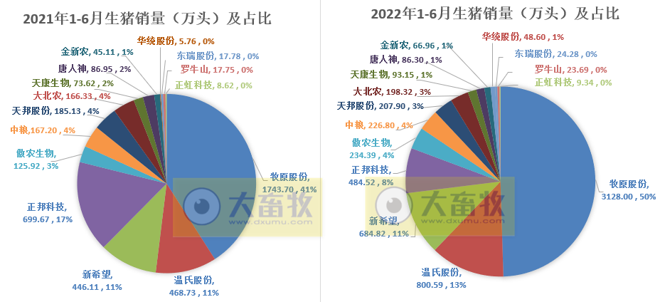 16家上市猪企2022年6月及上半年生猪销售业绩和生产指标PK