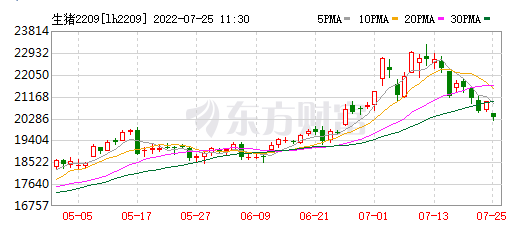 2022.07.25-今日猪价连跌5天，猪粮比连续17周上涨，头均盈利连续2周超900元；正邦积极回应公司董事长被限高消费事件和公司猪只断料事件