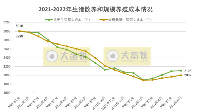 2022年6月及上半年生猪行业数据汇总