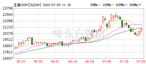 2022.07.28-今日猪价绿油油，9省失守10元大关；预计8月以后生猪出栏量将会季节性增加，猪价将稳中有降；江西银行表示切实帮助正邦解决问题走出困境
