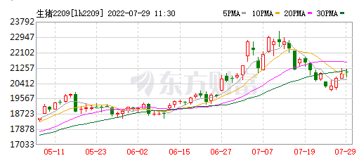 2022.07.29-今日猪价涨跌互现,东北止跌反弹,后期猪价如何走向?养殖场户该如何应对?新希望表示12月养猪成本可降至16元/公斤以下