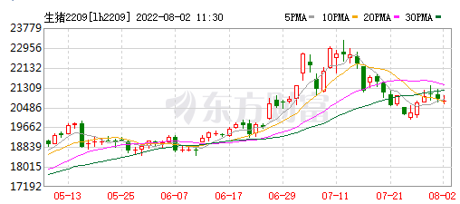 2022.08.02-今日猪价全国大多省上涨，8月猪价高于10元仍可支撑；仔猪价格连续18周上涨；非洲猪瘟病毒有新发现；傲农生猪存栏量再创新高