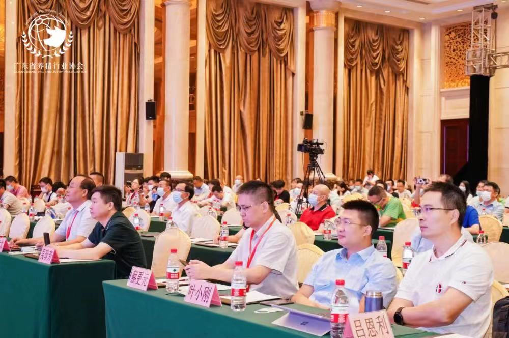 答案来了！猪市如何走？“预制菜”发展现状如何？......尽在广东猪业创新发展大会