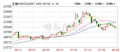2022.08.04-今日猪价南涨北跌，东瑞猪价这么高，为何仍亏损？大北农生猪销量创近17个月最低，新希望再次入榜世界500强，山东猪饲料产量同降17%
