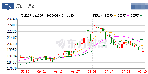 2022.08.10-今日猪价继续下跌，仔猪价格止涨；国家统计局发布7月猪肉价格同环比上涨20%以上；天康7月生猪销量环降20%