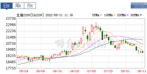 2022.08.11-今日猪价稳中有涨,东北进入9元时代;预计8-10月生猪自繁自养盈利或整体收缩;新希望7月收入突破20亿,中粮生猪出栏量近17个月最低