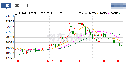 2022.08.12-今日猪价东北全面上涨,回归10元区间;猪饲料产量连续4个月低于千万吨,京基、神农和益生7月生猪销售数据出炉