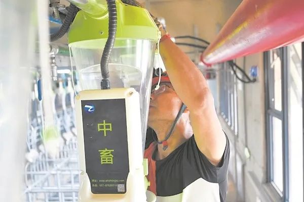 内部细节曝光！26层养猪大楼开启工业化养殖新模式，一键控制3万个点位饲料投喂