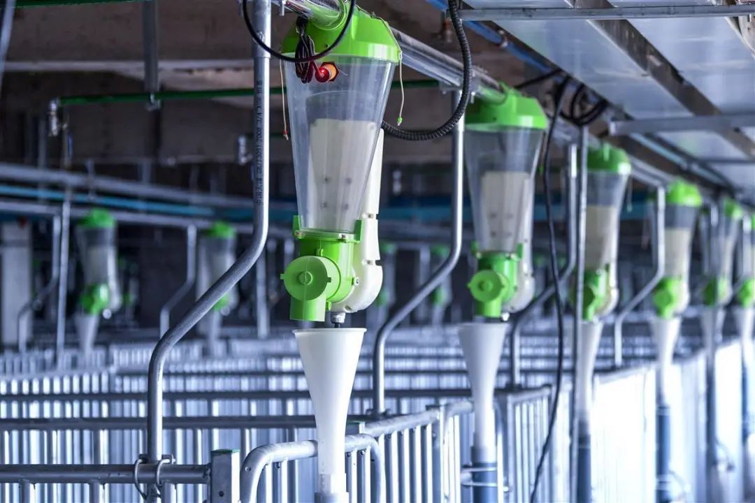 内部细节曝光！26层养猪大楼开启工业化养殖新模式，一键控制3万个点位饲料投喂