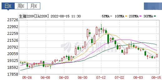 2022.08.15-今日猪价西南继续上涨, 发改委预计短期猪价上涨空间有限,后期或高位回落;业内人士称9-10月猪价下跌的风险仍然存在