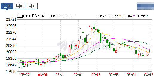 2022.08.16-今日猪价西南连续3天上涨， 国家统计局：7月猪肉价格涨20.2% ，未来大幅上涨可能性不大； 大北农上半年亏损5亿多，母猪存栏下降28.4%