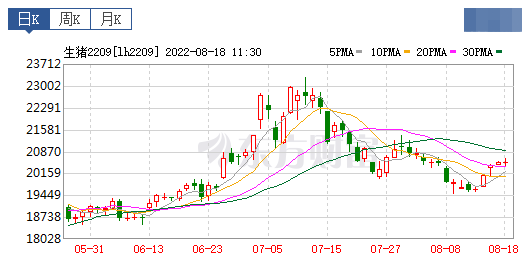2022.08.18-今日猪价华东华中东北全面上涨,大北农收购九鼎发生纠纷;神农积极扩张生猪产能,将受让温氏5大项目