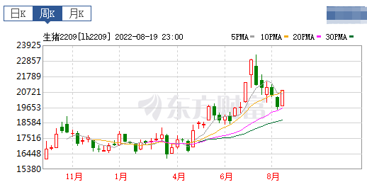 2022.08.21-今日猪价全国以稳为主，短期涨势有所放缓，但后市三大利好消息，二次育肥活跃；7月头均盈利756元，环涨698元
