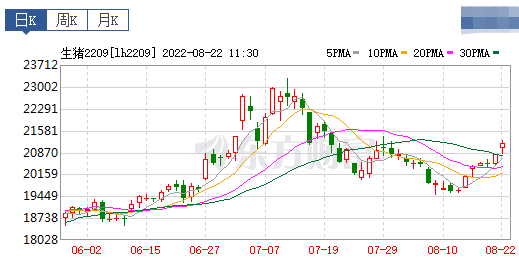 2022.08.22-今日猪价稳中有涨，下旬预计维持高位震荡；朱增勇预计2023年猪价行情将明显好转；温氏部分优秀公司成本降至7.5元
