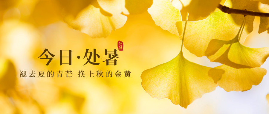 2022.08.23-今日猪价全国大面积上涨，刷新本月最高价；发改委预计短期震荡小涨，养猪连续盈利15周，但目前不宜大规模补栏