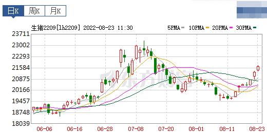 2022.08.23-今日猪价全国大面积上涨，刷新本月最高价；发改委预计短期震荡小涨，养猪连续盈利15周，但目前不宜大规模补栏
