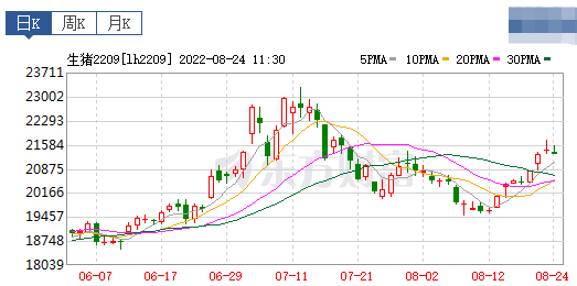 2022.08.24-今日猪价全国大涨,均价突破11元,能繁母猪存栏量连续3个月增长,猪价4个月增长,屠宰量3个月下降