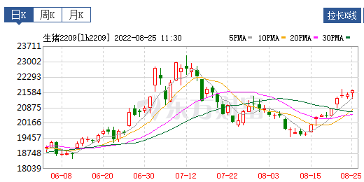 2022.08.25-今日猪价连涨4天,26省突破11元,此轮上涨原因是什么?越南紧急暂停非瘟疫苗的接种!正邦1元甩卖35亿子公司