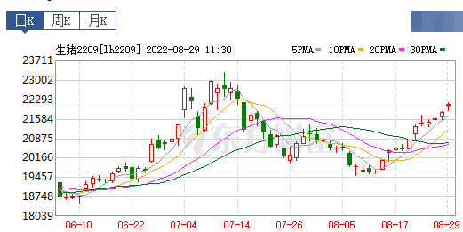 2022.08.29-今日猪价全国继续大幅上涨,看涨预期不减,能超前期高点吗?国家9月开始投放储备猪肉;1.41万个禁养区被撤销;天邦生猪出栏超200万头亏损6.46亿