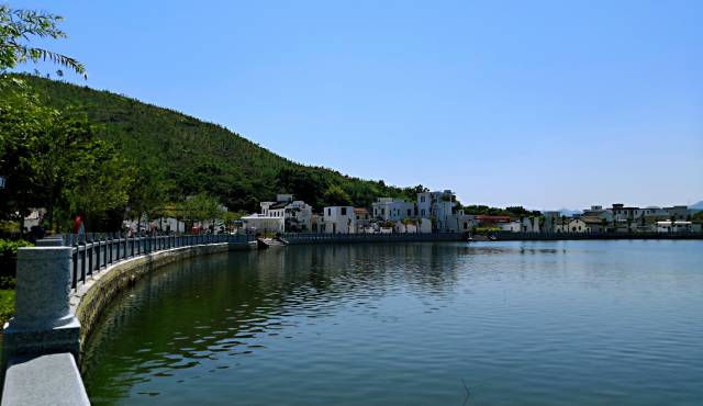 广东“三农”，非凡十年