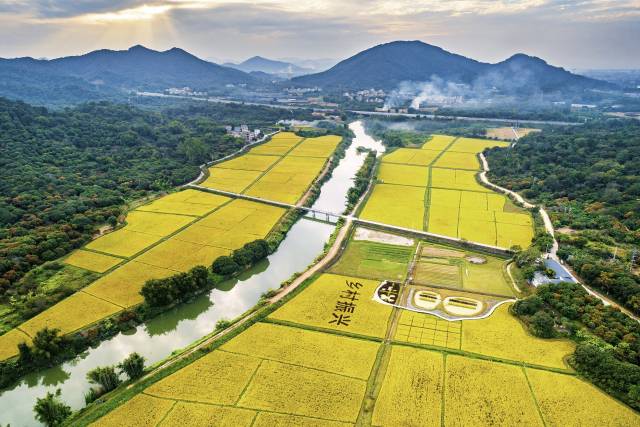 广东“三农”，非凡十年