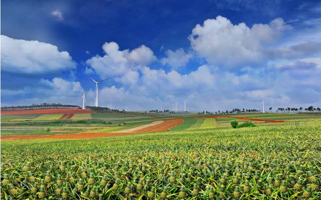 广东“三农”，非凡十年