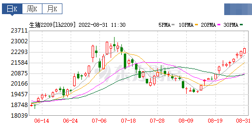 2022.08.31-今日猪价略降，西南持续9天上涨，8月均价略低于7月，9月如何？生猪屠宰量再创今年新低，同比迎来首次下降；散养头均盈利超700元