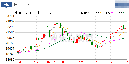 2022.09.01-今日猪价东北西北全面上涨，国家为什么在此时投放储备猪肉？牧原对非瘟疫苗有何想法？5和6月已实现盈亏平衡7月PSY超26；大北农终止收购九鼎科技
