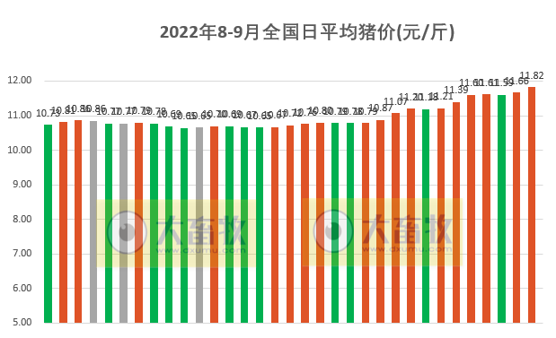 2022.09.02-今日猪价全国大面积上涨,19省突破12元,华东升至全国最高价
