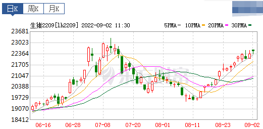 2022.09.02-今日猪价全国大面积上涨，19省突破12元，华东升至全国最高价