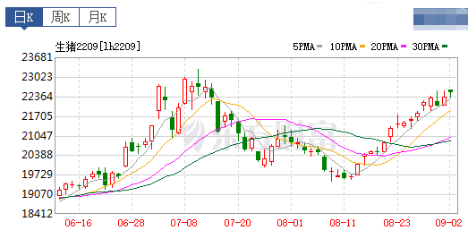 2022.09.03-今日猪价全国均价继续刷新阶段性高位，能超前期高位吗？