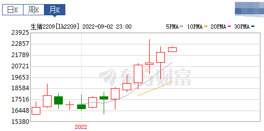 2022.09.04-今日猪价华东、东北、西北全面下跌