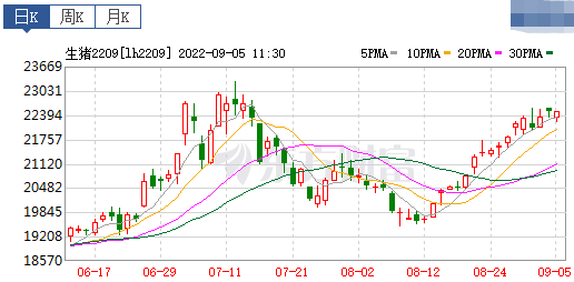 2022.09.05-今日猪价涨跌互现，其中华北全面上涨