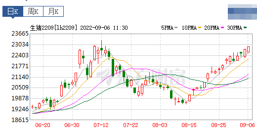 2022.09.06-今日猪价全国大面积上涨，21省突破12元，华东跃居全国最高价，温氏上调报价为12.5元