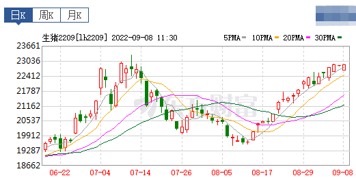 2022.09.08-今日猪价全国大面积下降,多省回归11元区间