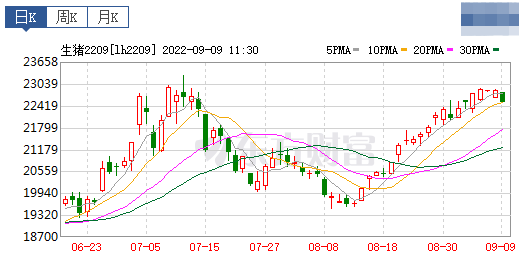 2022.09.09-今日猪价东北全面上涨，西南全面下跌