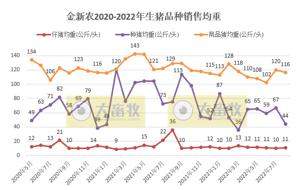 19家上市猪企2022年8月生猪销售情况汇总