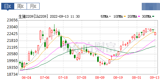 2022.09.13-今日猪价,涨!