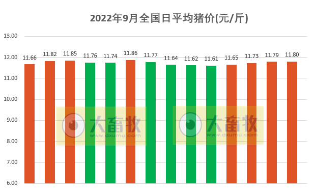 2022.09.14-今日猪价,广东上涨至12.6元
