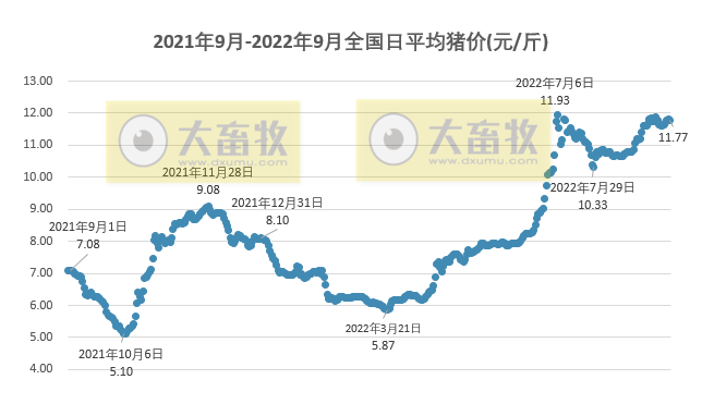 2022.09.15-今日猪价