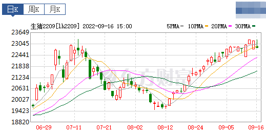 2022.09.17-今日猪价