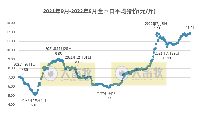 2022.09.18-今日猪价,涨!21省突破12元
