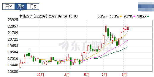 2022.09.18-今日猪价，涨！21省突破12元