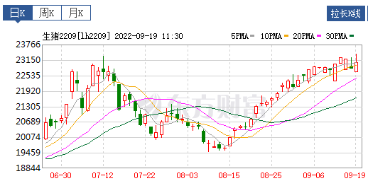 2022.09.19-今日猪价，广东上涨至12.7元