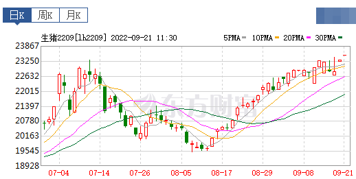 2022.09.21-今日猪价,连涨5天