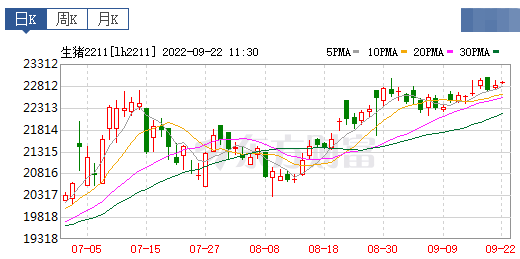 2022.09.22-今日猪价，连涨6天，突破12元