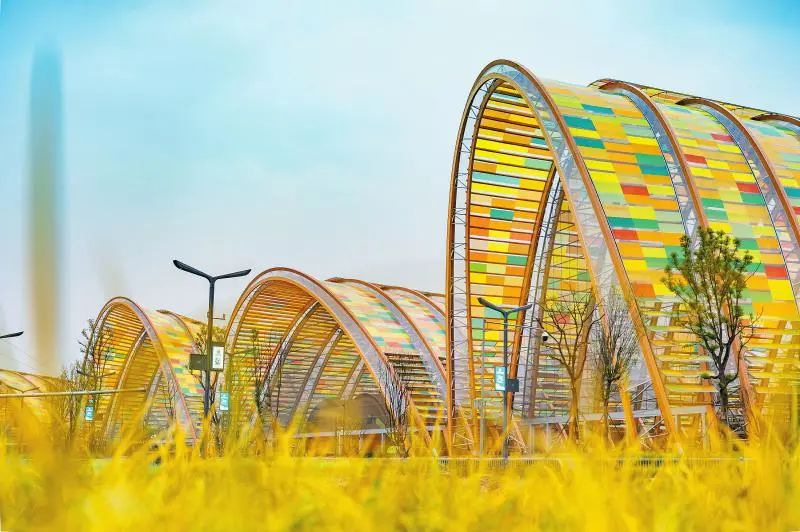 第五个中国农民丰收节,来啦!