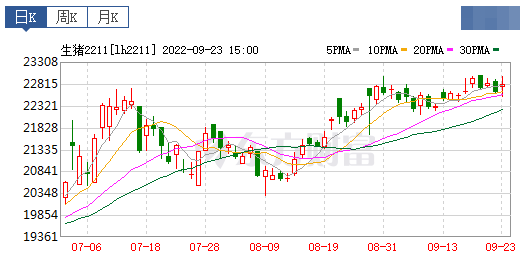 2022.09.24-今日猪价,继续涨!