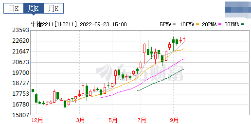 2022.09.25-今日猪价,广东突破13元!