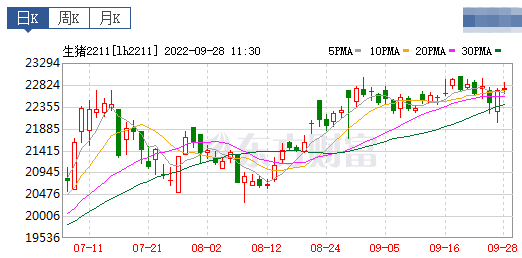 2022.09.28-今日猪价